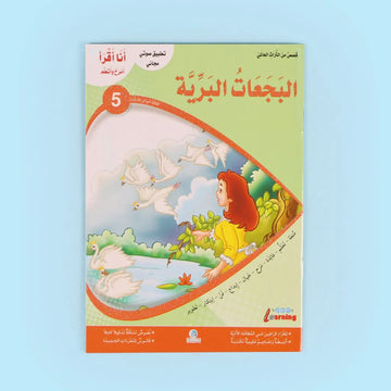 البجعات البرية