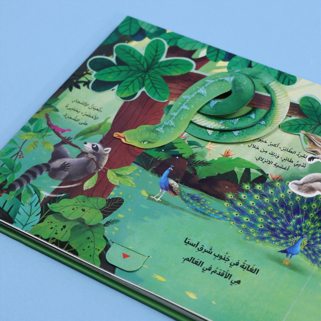 صفحات 5 من كتاب مملكة الحيوان الغابة كتاب أطفال تعليمي يعرّف بحيوانات الغابة وطريقة عيشها