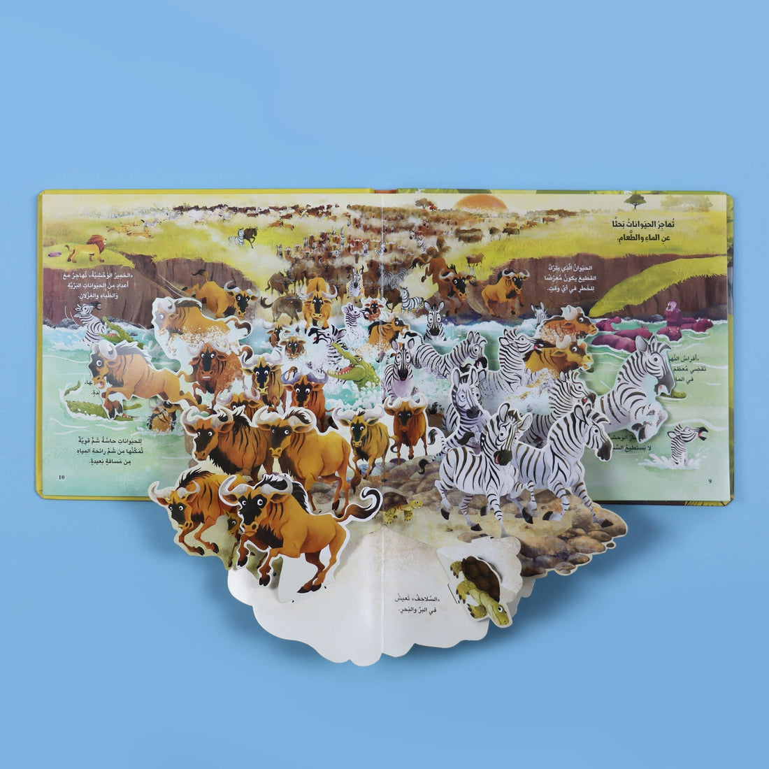 كتاب مملكة الحيوان البرية كتاب أطفال تعليمي يعرّف بحيوانات البرية وطريقة حياتها
