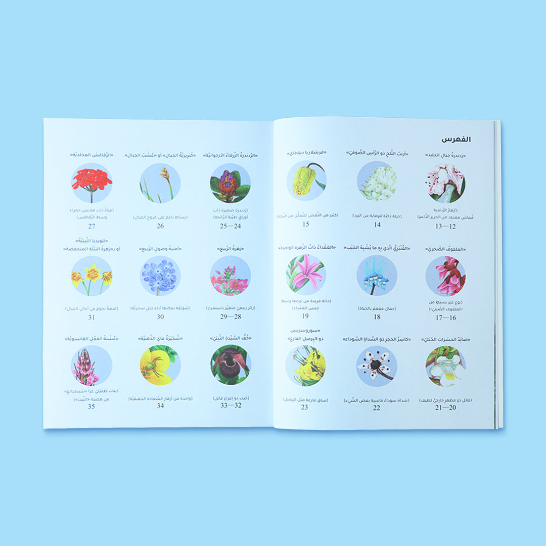 صفحات داخلية من كتاب عالم النباتات تعرض معلومات علمية مبسطة ورسومات دقيقة للنباتات