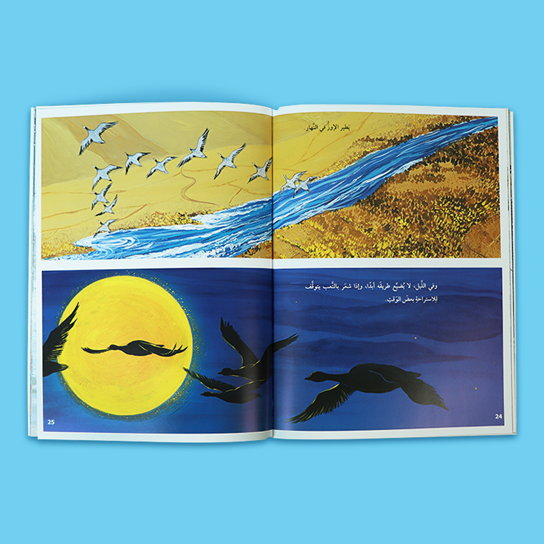 غلاف كتاب "ارتفع... حلق عاليًا فوق الجبال" – قصة أطفال عربية عن الإوز المهاجر والرحمة بين الطفل والطبيعة