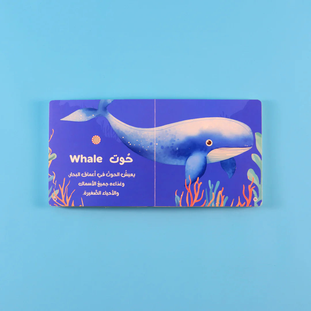 كتابي المسموع: أصوات الحيوانات - حيوانات الماء 🐾🔊